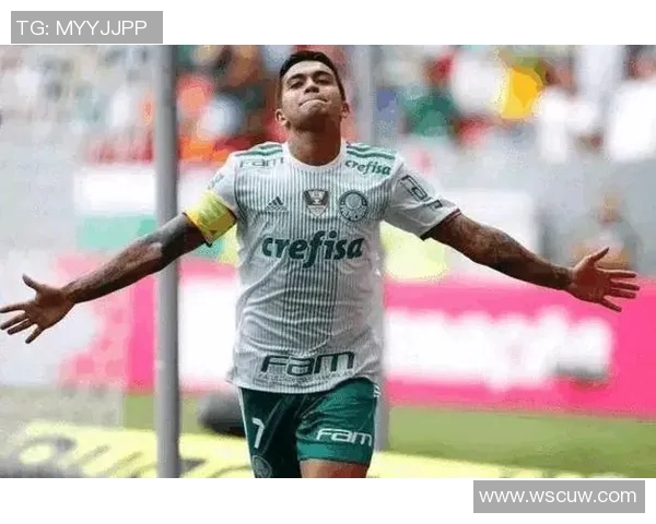 巴甲转会窗口操作分析及各队引援策略探讨