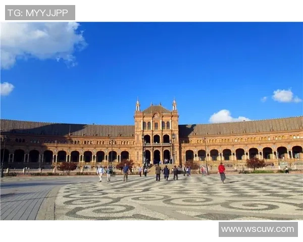 塞维利亚官方公开道歉因宣布弗拉明戈加入球队而引发的误会