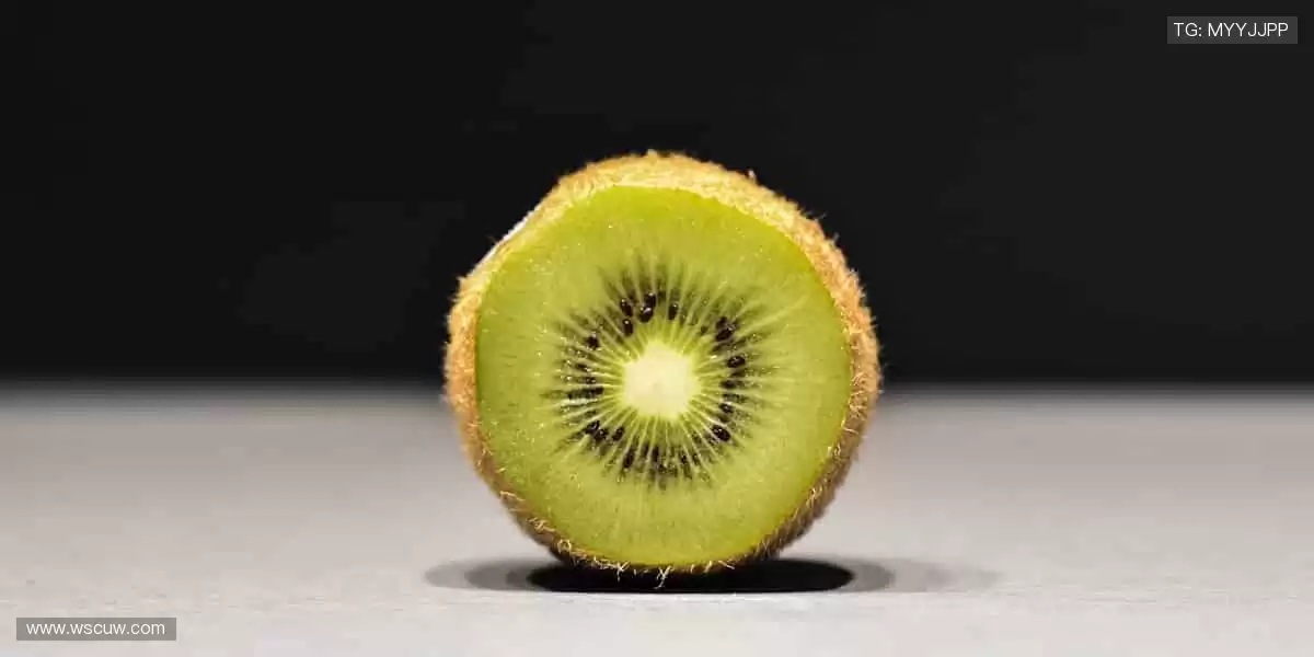 🎾 运动装备，品质之选！从赛场到生活，陪伴你的每一步👟